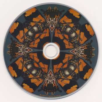 CD The Courteeners: More. Again. Forever. 