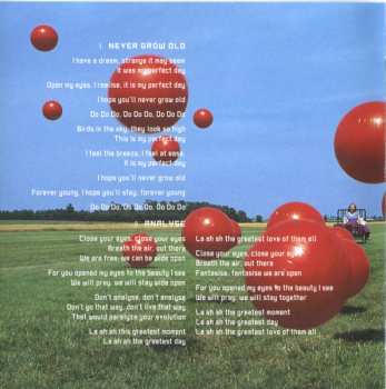 CD The Cranberries: Wake Up And Smell The Coffee