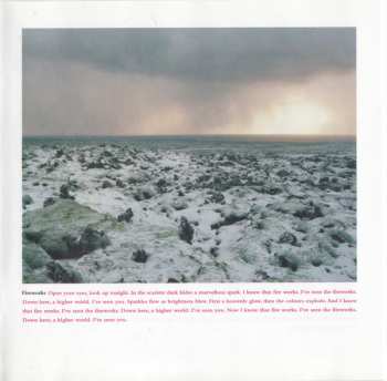 CD The Crash: Wildlife