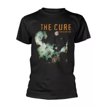 T-shirt Disintegration
