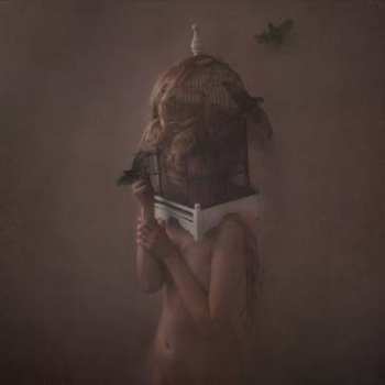 Album The Dear Hunter: Migrant
