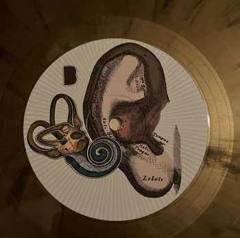 LP The Dillinger Escape Plan: Option Paralysis CLR | LTD