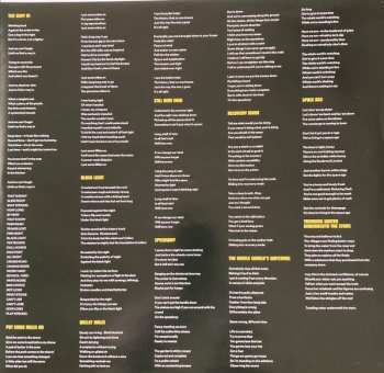 LP The Dream Syndicate: These Times