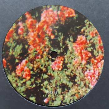 2LP The Drums: Abysmal Thoughts