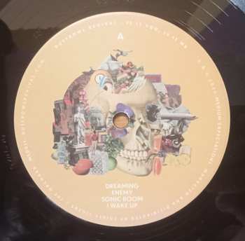 2LP The Dustbowl Revival: Is It You, Is It Me