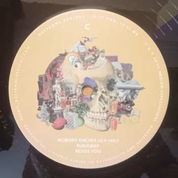 2LP The Dustbowl Revival: Is It You, Is It Me