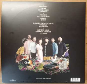 2LP The Dustbowl Revival: Is It You, Is It Me