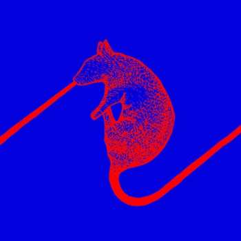 Album The Dwarfs of East Agouza: Rats Don't Eat Synthesizers