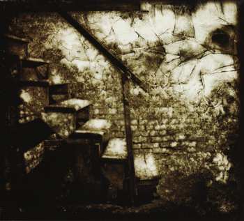 CD The End: Within Dividia