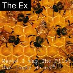 SP The Ex: Maybe I Was The Pilot / Our Leaky Homes