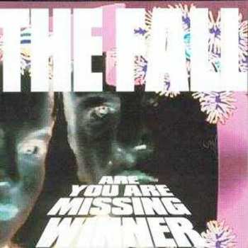 CD The Fall: Are You Are Missing Winner