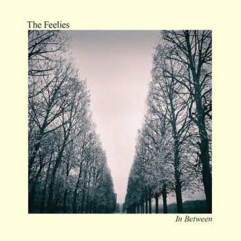 CD The Feelies: In Between 