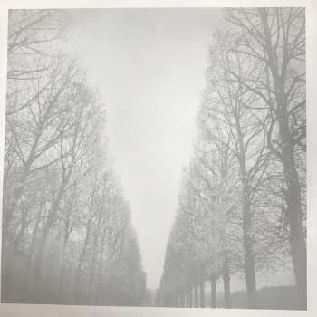 LP The Feelies: In Between 