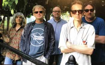 LP The Feelies: In Between 