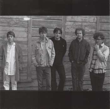 CD The Feelies: The Good Earth