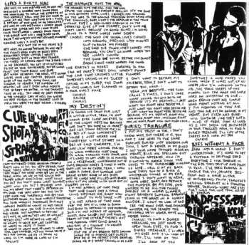 CD The Flesh Eaters: A Hard Road To Follow