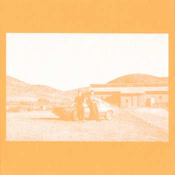 Album The Frenzied Bricks: (Can I) Bridge The Gap/Entropy