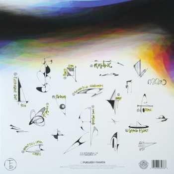 LP The Front Bottoms: Going Grey