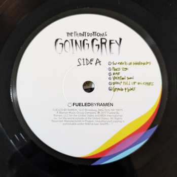LP The Front Bottoms: Going Grey