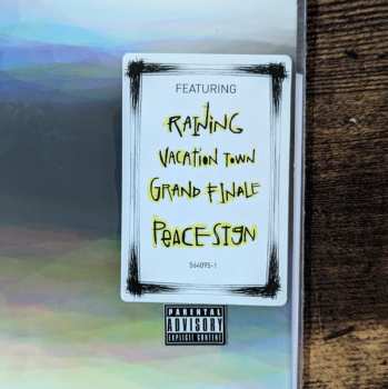 LP The Front Bottoms: Going Grey