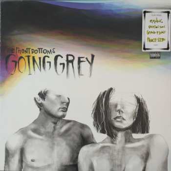 LP The Front Bottoms: Going Grey