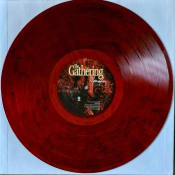 LP The Gathering: Mandylion CLR