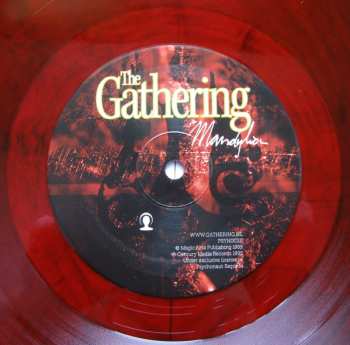 LP The Gathering: Mandylion CLR