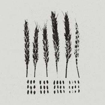 LP Lo!: The Gleaners