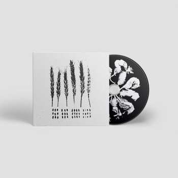 CD Lo!: The Gleaners