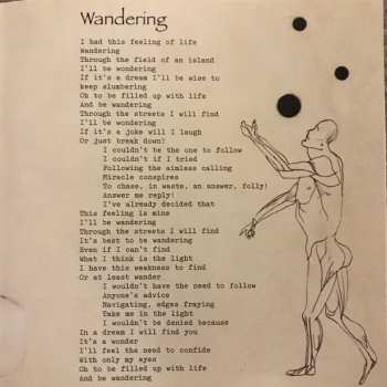 CD The Hidden Cameras: Awoo