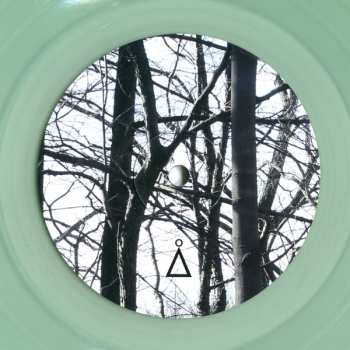 LP The Hidden Cameras: Home On Native Land CLR