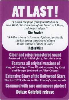 LP The Hollywood Stars: Shine Like A Radio - The Great Lost 1974 Album LTD