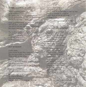 2CD The Icicle Works: The Icicle Works