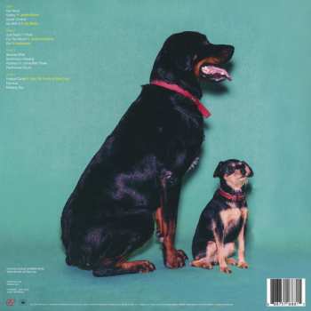 2LP The Internet: Ego Death