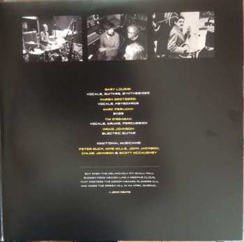 LP The Jayhawks: Paging Mr. Proust