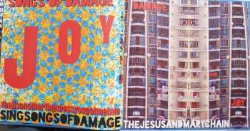 2LP The Jesus And Mary Chain: Damage And Joy DLX | LTD