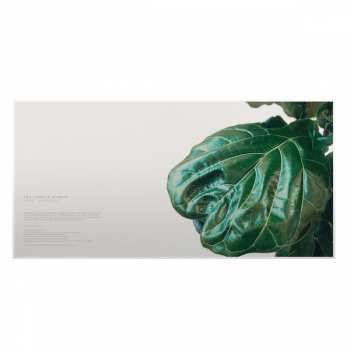 LP The Jungle Giants: Quiet Ferocity LTD | CLR