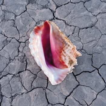 CD The Killers: Wonderful Wonderful DLX