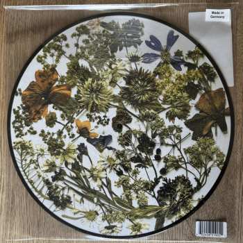 LP The Last Dinner Party: Prelude To Ecstasy LTD | PIC