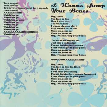 CD The Launderettes: Fluff 'N' Fold: The Best Of The Launderettes