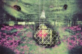 DVD The Legendary Pink Dots: 9 Lives To Wonder - A Film By Cevin Key