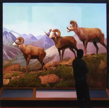 The Life And Times: The Magician