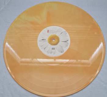 LP The Lottery Winners: Anxiety Replacement Therapy