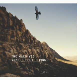 Album The Maldives: Muscle For The Wing