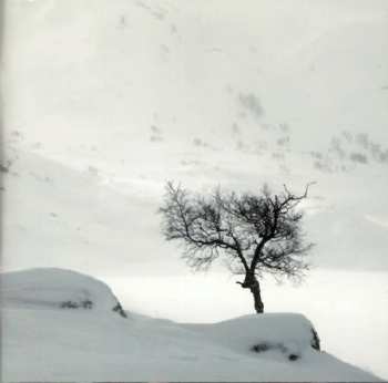 CD The Mary Onettes: Islands