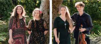 CD The Meadows: Dreamless Days