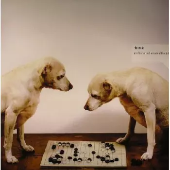 One Foot On Either Side Of The Ladder