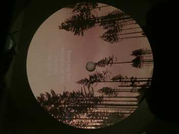 2LP The Moondoggies: Don't Be A Stranger