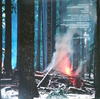 2LP The Mountain Goats: Dark In Here LTD | CLR