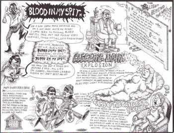 LP The Muff Divers: Dreams Of The Gentlest Texture